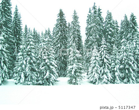 北イタリア雪景色（カナツェイ） 5117347