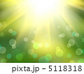 5118318