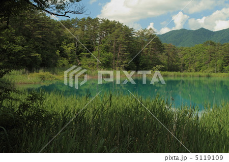 五色沼 五色沼 5119109