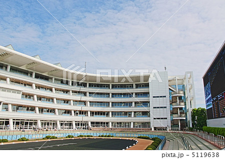 中山競馬場のパドック 中山競馬場のパドック 5119638