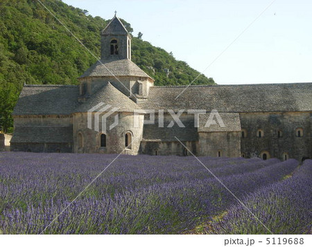 南仏　ラヴェンダー街道　セナンク修道院　プロヴァンス 5119688