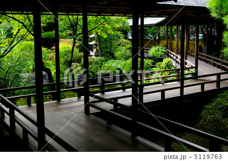 柴又帝釈天の邃渓園 柴又帝釈天の邃渓園 5119763