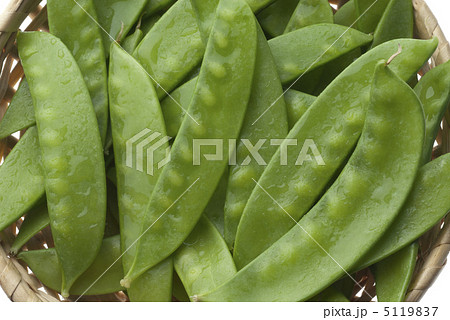 さやえんどう 5119837