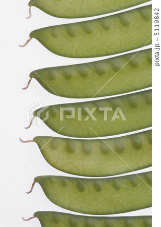 さやえんどう 5119842