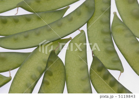 さやえんどう 5119843