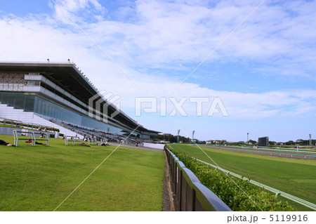 青空と中山競馬場 青空と中山競馬場 5119916