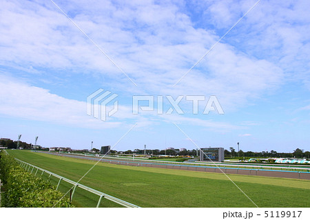 青空と中山競馬場 青空と中山競馬場 5119917