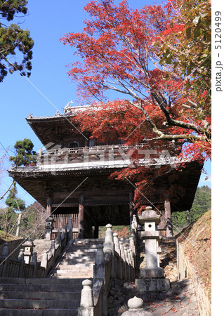 四国別格霊場(番外札所)15番「箸蔵寺」紅葉の仁王門 四国別格霊場(番外札所)15番「箸蔵寺」紅葉の仁王門 5120499
