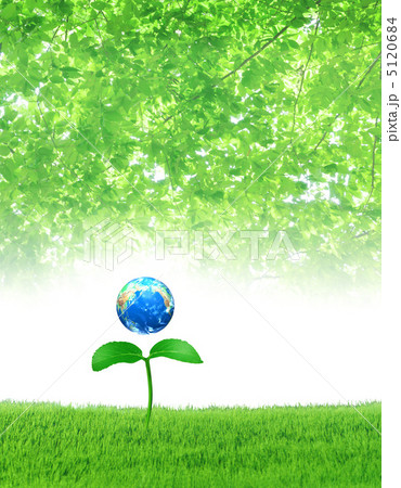 木漏れ日の下 地球から育つ若葉のイラスト素材