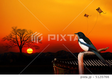 artplus_130905 5120766