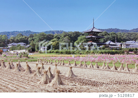 秋の法起寺 5120817