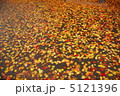 落ち葉の絨毯 5121396