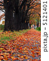落ち葉の歩道 5121401