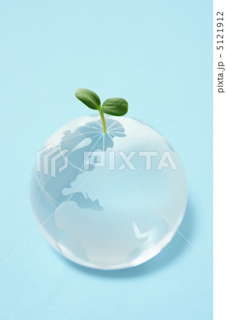 エコイメージ エコイメージ 5121912