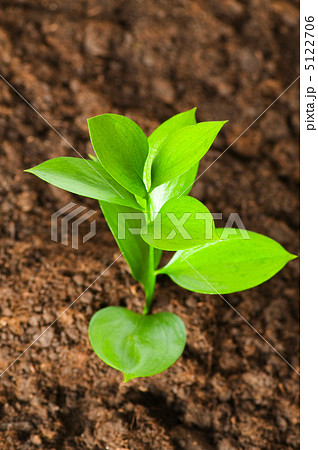 New life concept - green seedling growing out of soil 5122706