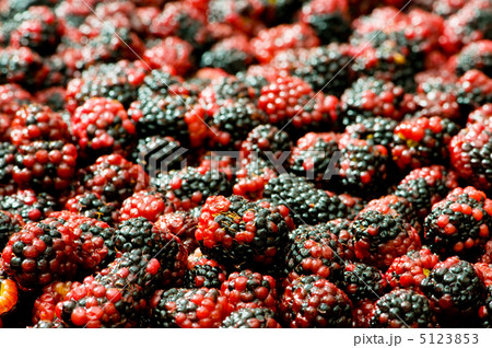 Lots of berries arranged at the background Lots of berries arranged at the background 5123853