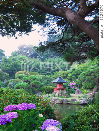 朝の日本庭園 (縦カット) 5126670