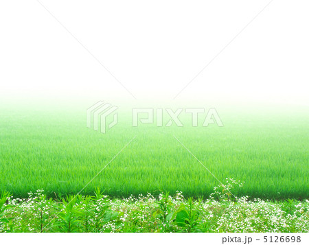 霧と水田の素材 (横カット) 5126698