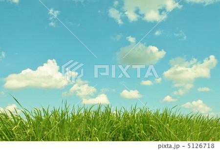 植物と青空 5126718