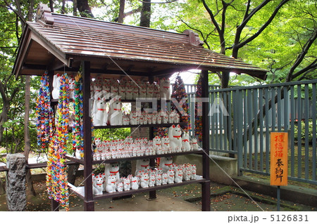 豪徳寺の招福猫奉納所 豪徳寺の招福猫奉納所 5126831