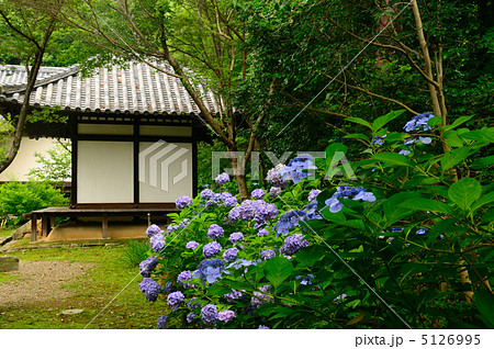 あじさい咲く白毫寺 あじさい咲く白毫寺 5126995