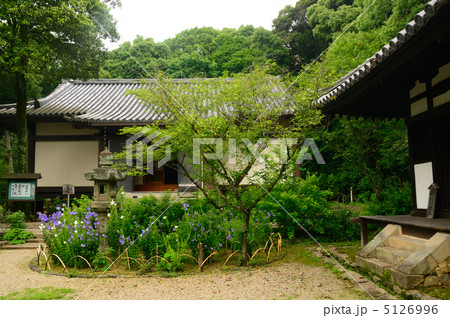 白毫寺とあじさい 宝蔵 白毫寺とあじさい 宝蔵 5126996