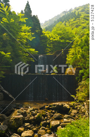 屋久島　安房林道　ダム　屋久鹿 5127428