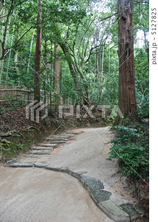八重垣神社の「佐久佐女の森」（島根県松江市佐草町） 5127825