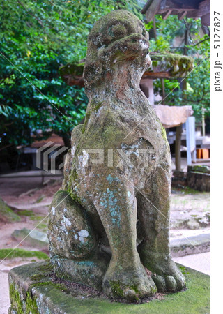 日本最古の「狛犬」（八重垣神社／島根県松江市佐草町） 5127827