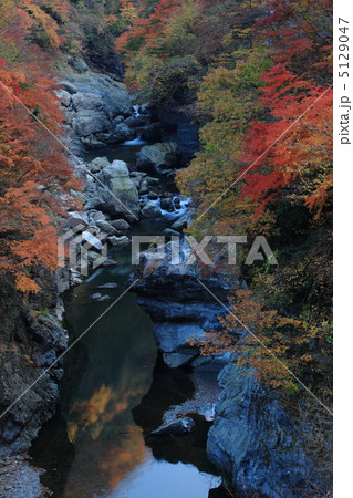 秋の渓谷 秋の渓谷 5129047