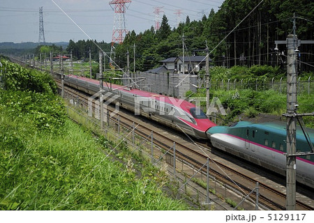 E6系新幹線とE5系新幹線 5129117
