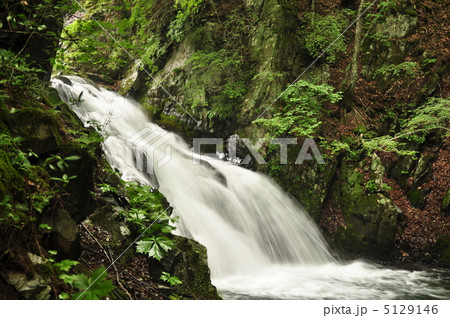 巣栗渓谷 5129146
