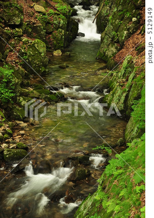 巣栗渓谷 5129149
