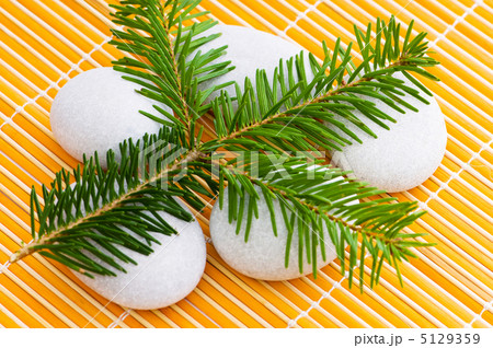 Spa concept with green twig and pebbels Spa concept with green twig and pebbels 5129359