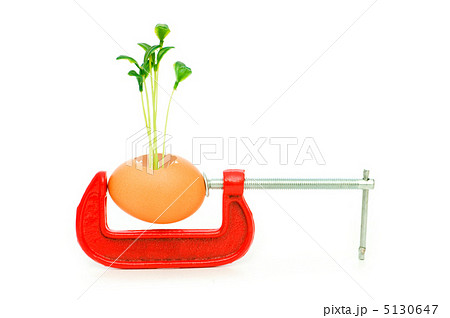 Strength concept with egg and clamp on white 5130647