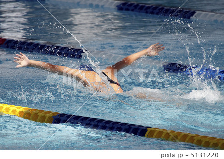 バタフライ 5131220