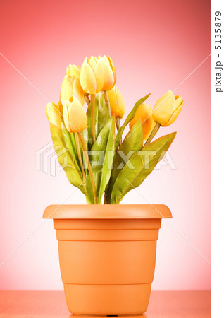 Bunch of tulip flowers on the table Bunch of tulip flowers on the table 5135879