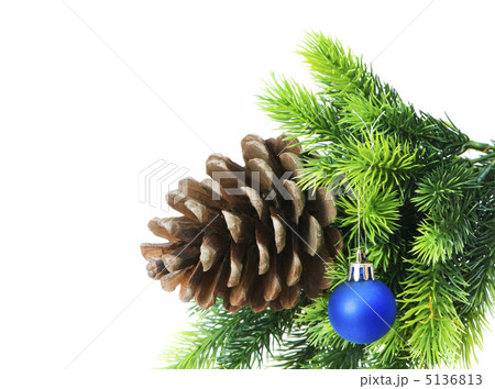 Christmas decoration on the tree Christmas decoration on the tree 5136813