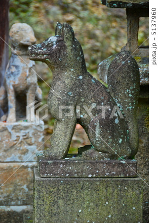 キツネの石像(須我神社/島根県雲南市大東町) キツネの石像(須我神社/島根県雲南市大東町) 5137960