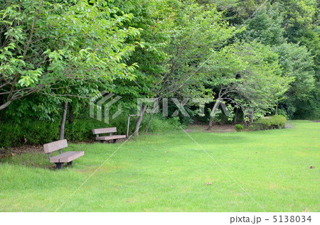 公園 5138034