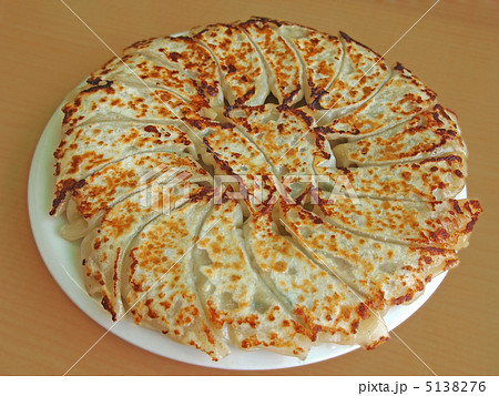 円盤餃子 5138276