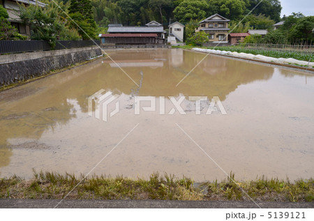 田植え前 5139121