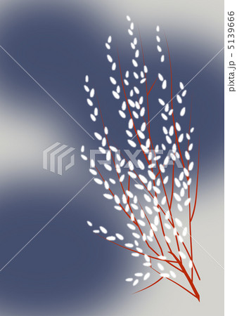 青地にネコヤナギ 5139666