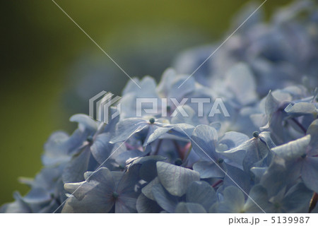 あし゛さい あし゛さい 5139987