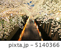夜桜 5140366