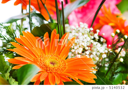 Orange gerbera flower agaisnt green blurred background Orange gerbera flower agaisnt green blurred background 5140532