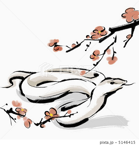 12干支 謹賀新年 花 梅 東洋画 蛇 韓国のイラスト素材