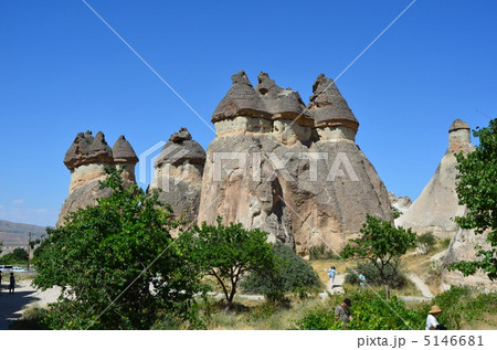 キノコ岩 5146681