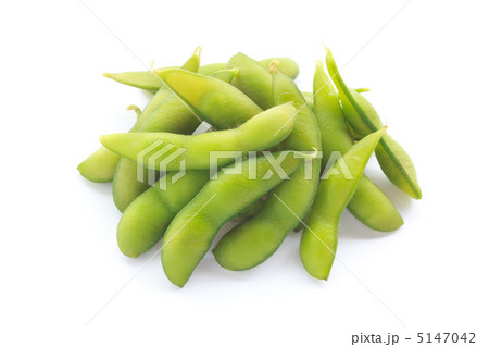 枝豆 5147042