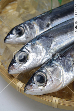 とびうお とびうお 5147072